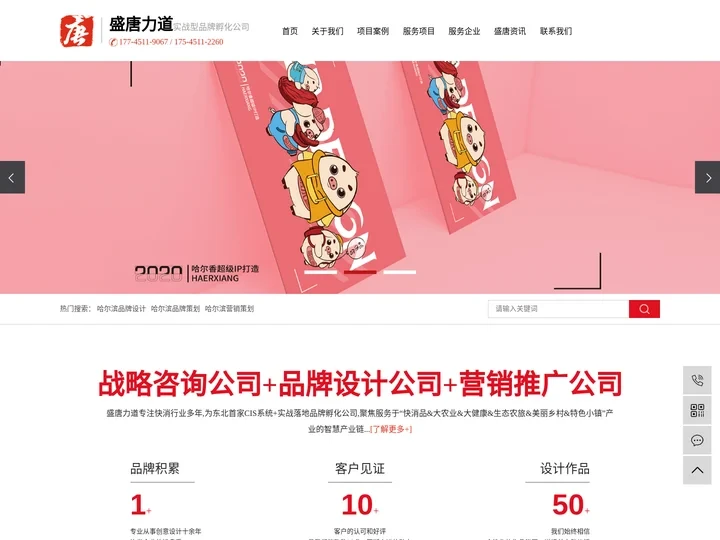 哈尔滨品牌设计_哈尔滨品牌策划_哈尔滨营销策划-哈尔滨盛唐力道营销顾问有限公司