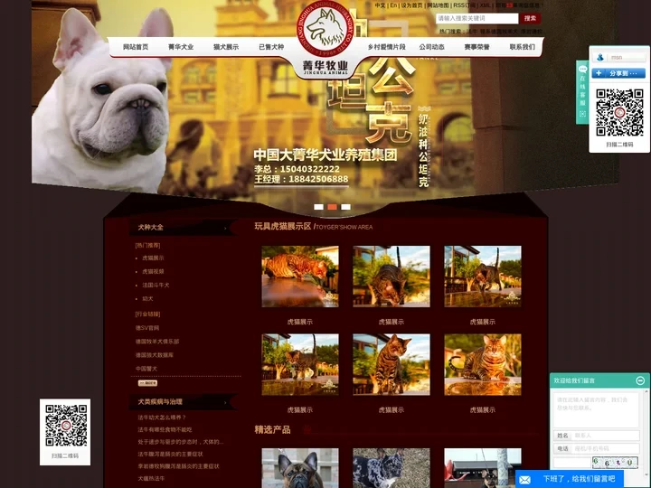 大菁华奢宠基地_大菁华犬业集团-沈阳菁华牧业有限公司