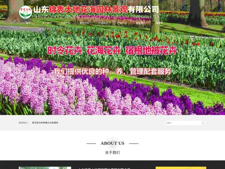 花海建设_花海苗木_马鞭草苗_花海专用花卉穴盘苗_菊花租摆_山东锦秀大地花海园林景观有限公司