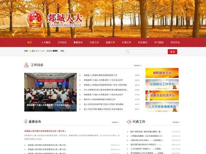 郯城县人民代表大会常务委员会,郯城人大网站