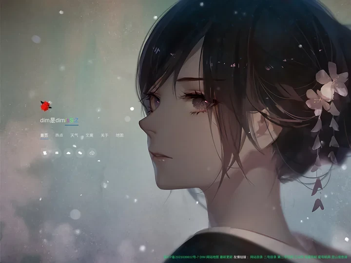 dim_dim什么意思_dim是什么意思