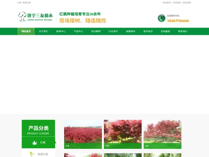 红枫_美国红枫 — 济宁三友苗木基地