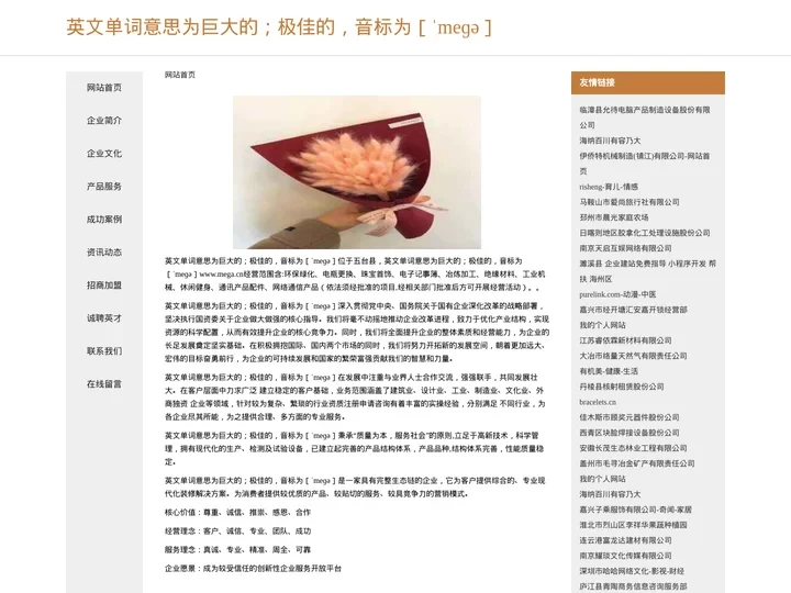 英文单词意思为巨大的；极佳的，音标为［ˈmeɡə］