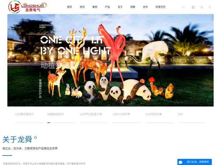 皮线灯_LED造型灯_LED图案灯_LED装饰灯厂家-中山市龙舜电气科技有限公司