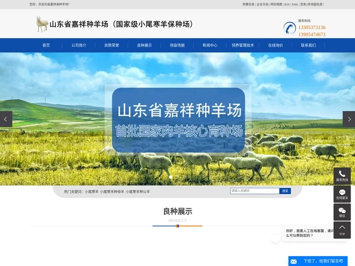 小尾寒羊_小尾寒羊种母羊_小尾寒羊种公羊-山东省嘉祥种羊场
