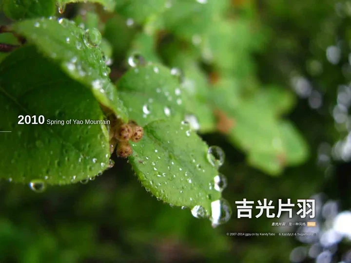 吉光片羽 是一种风格