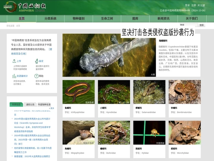 中国两栖类 - 主页