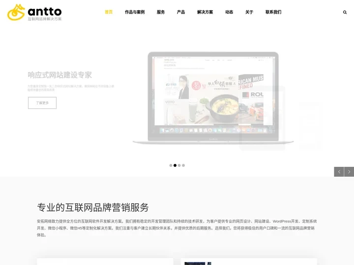 网站开发_网站建设_上海Wordpress开发_小程序开发_H5制作_系统定制开发-安拓网络