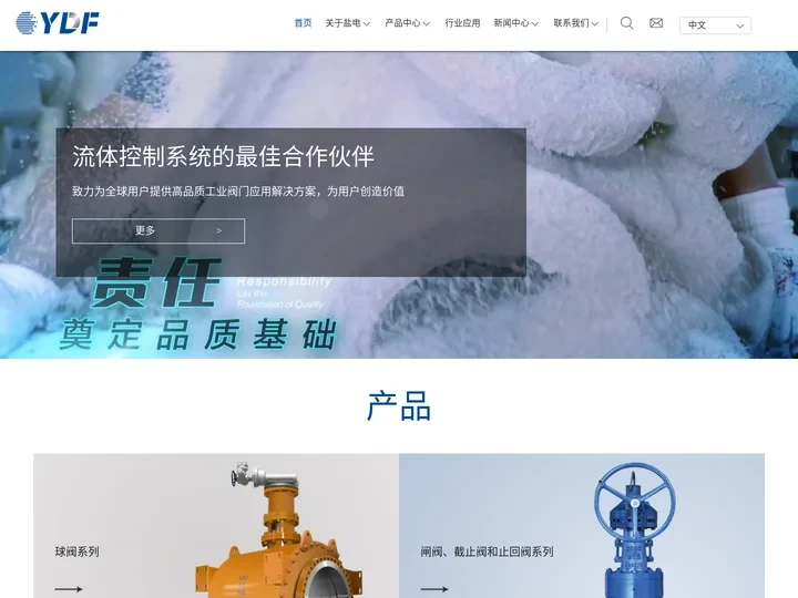 江苏盐电阀门有限公司