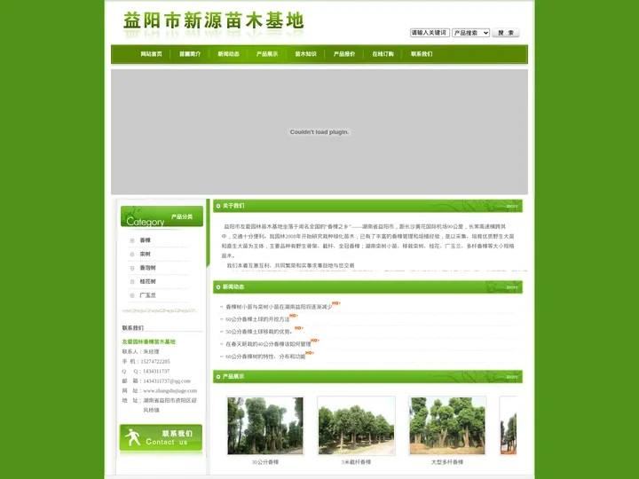 40公分香樟树价格|50公分香樟|60公分香樟树|湖南香樟小苗-益阳市友爱园林