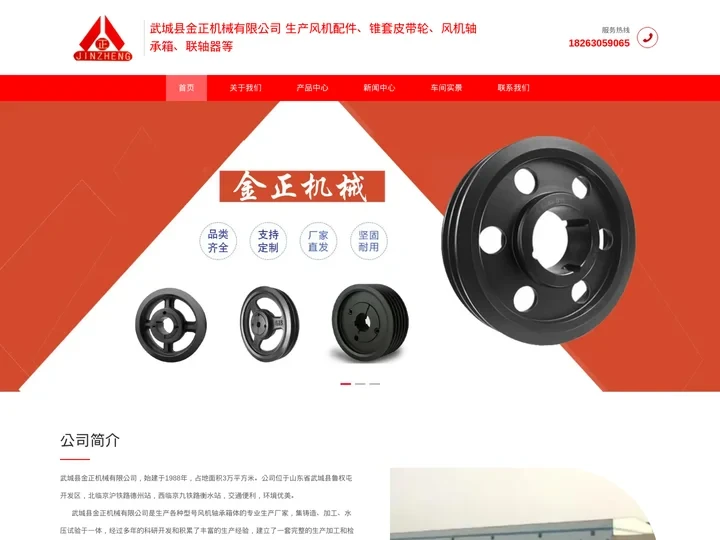 武城县金正机械有限公司