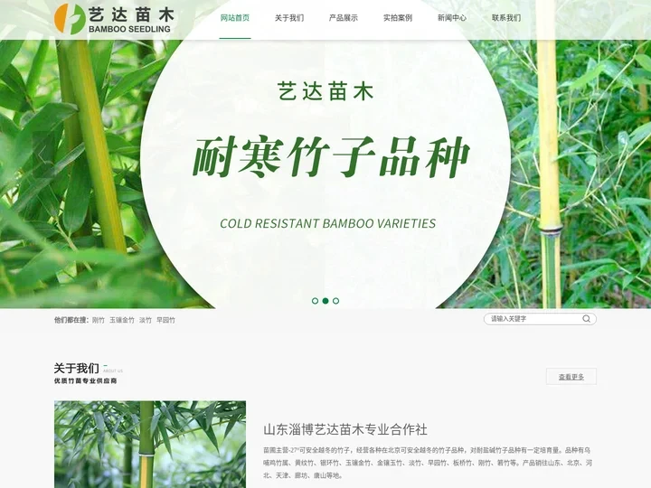网站首页 _车梁木_北方竹子基地_黄纹竹-山东省淄博艺达苗木合作社