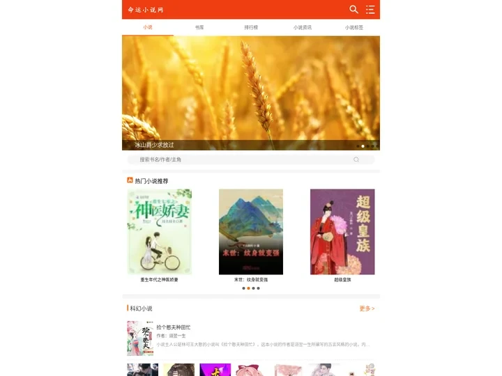 质量不错的完本小说大全_口碑最好的小说推荐 - 命运小说网