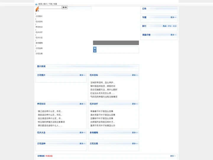 中国兰花网_中国兰花交易网
