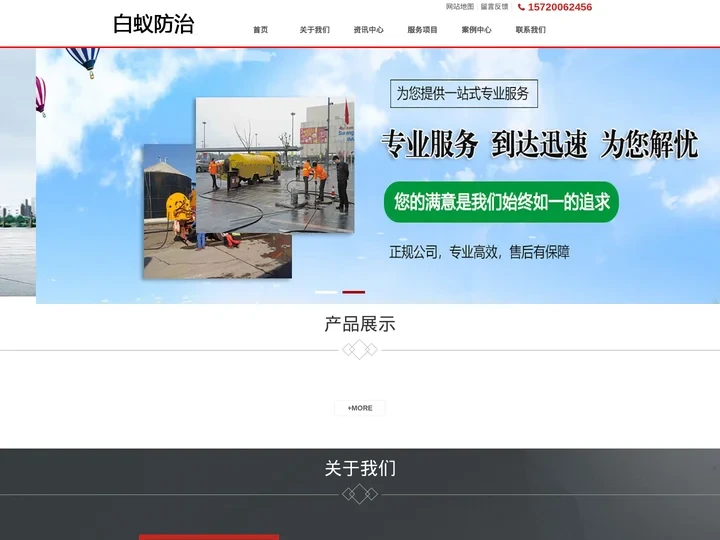 白蚁防治_白蚁治理_白蚁消杀_灭白蚁 - 白蚁治理消杀