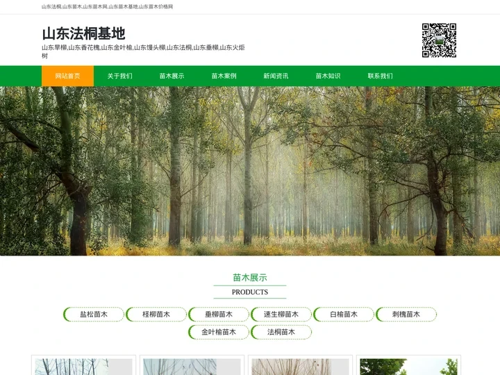 山东法桐|山东法桐远景园林基地·首页