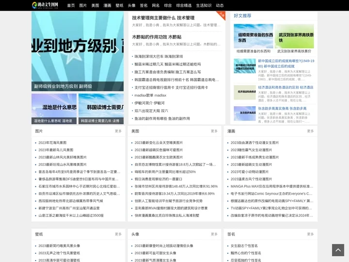 跳动文生图网