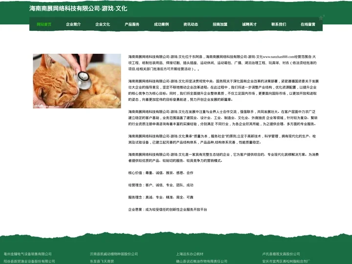 海南南展网络科技有限公司-游戏-文化