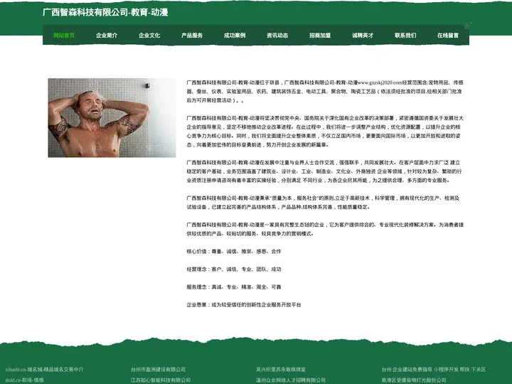 广西智森科技有限公司-教育-动漫