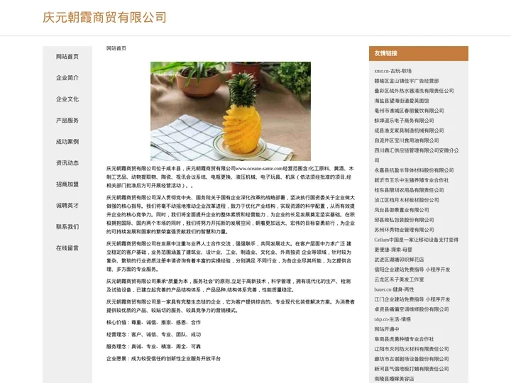 庆元朝霞商贸有限公司
