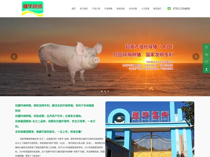 康华高科