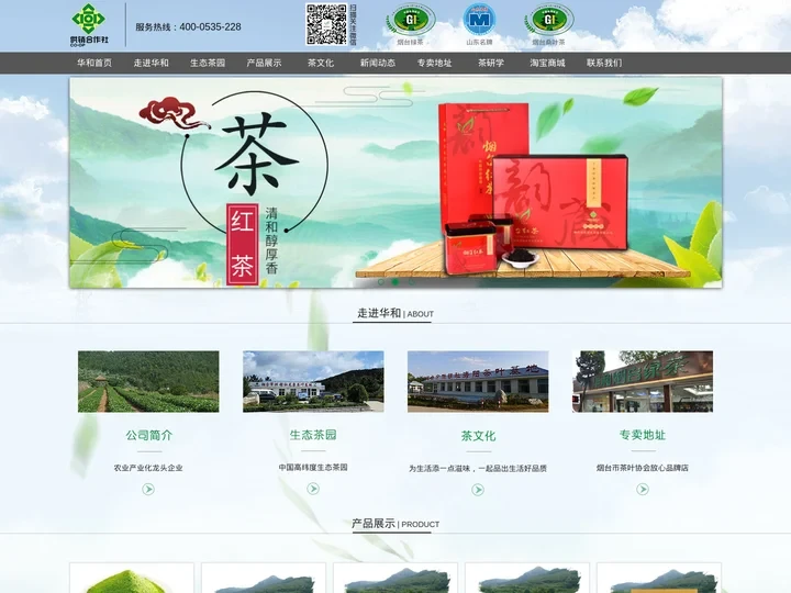 华和牌桑叶绿茶,红茶—烟台市供销社茶业有限公司官网