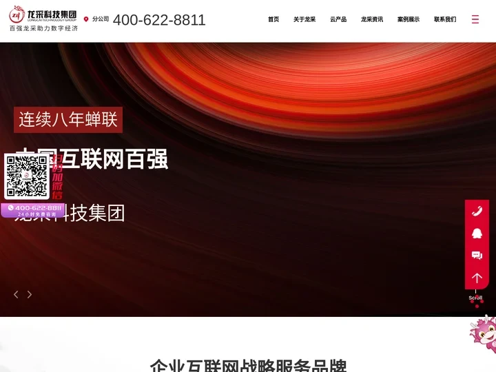 龙采科技集团有限责任公司南京分公司