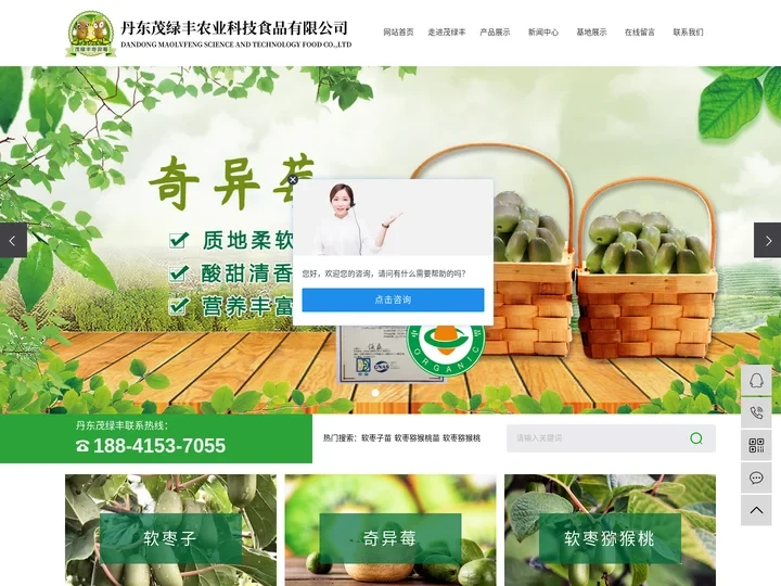 软枣子苗_软枣猕猴桃苗_软枣猕猴桃-丹东茂绿丰农业科技食品有限公司