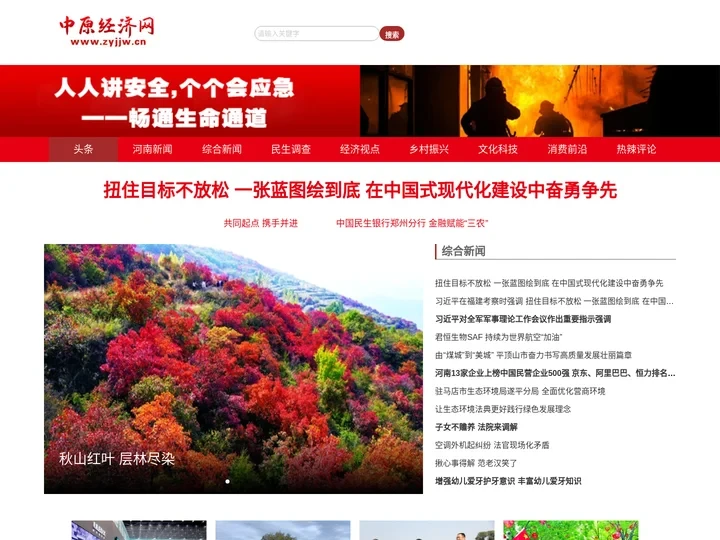中原经济网
