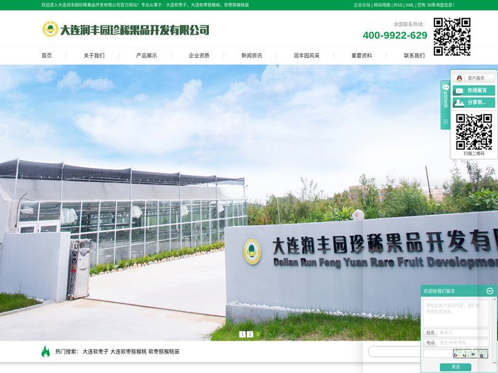 大连软枣子_软枣子猕猴桃_软枣子猕猴桃苗-大连润丰园珍稀果品开发有限公司