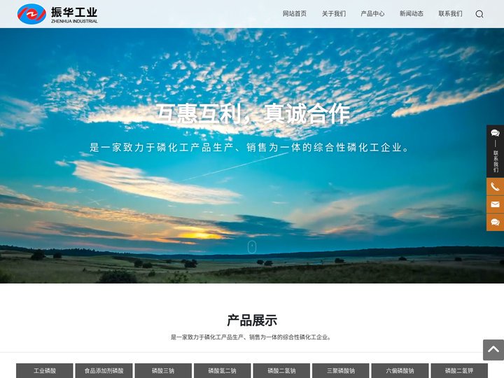 山东振华工业股份有限公司||磷酸三钠|食品磷酸