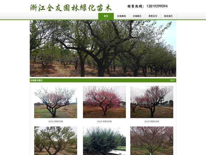 浙江红梅批发供应商|长兴红梅苗木种植基地|林城红梅苗木价格行情|长兴全友红梅苗木场