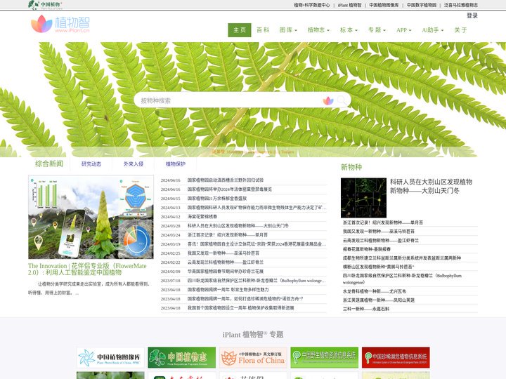 iPlant 植物智——植物物种信息系统