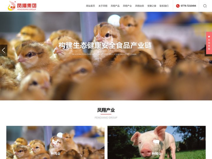 广西凤翔集团股份有限公司