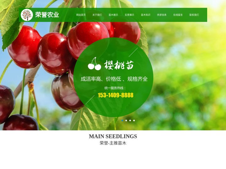 苹果苗-矮化苹果苗-无花果苗-梨树/樱桃树/苹果树/核桃树/冬枣树苗-泰安高新区荣誉农业科技有限公司