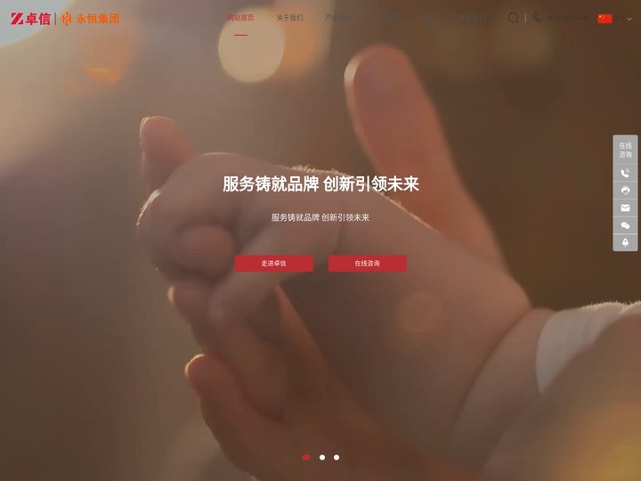 安全光栅|射频导纳物位开关|音叉料位计|雷达液位计|两级跑偏开关|双向拉绳开关-山东卓信机械有限公司