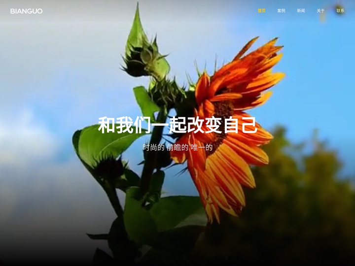 边果互动-网站建设-微信抖音小程序-互动H5