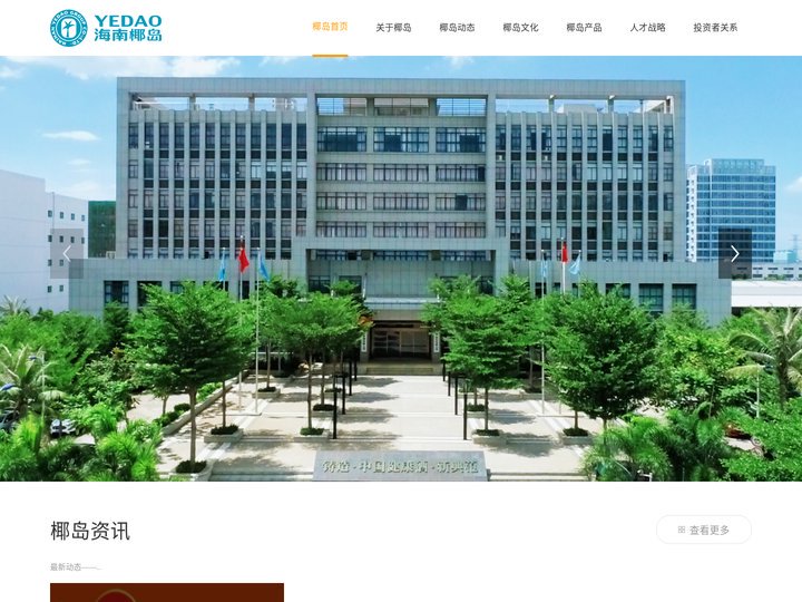 海南椰岛集团