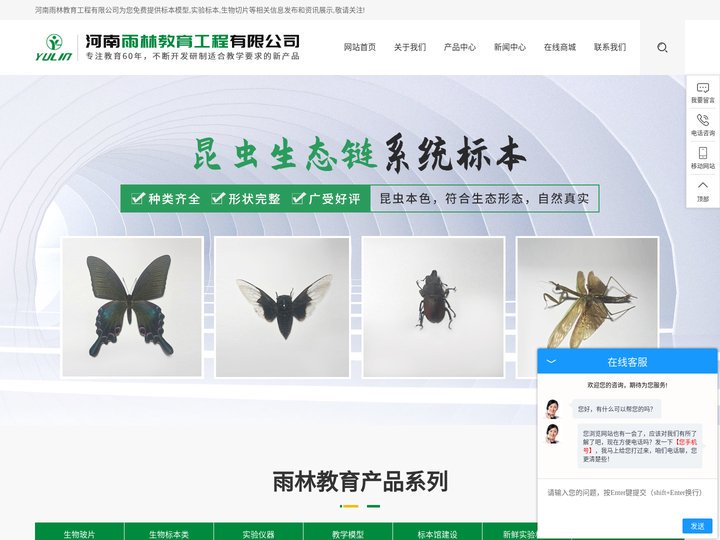 标本模型-实验标本厂家-生物切片-河南雨林教育工程有限公司