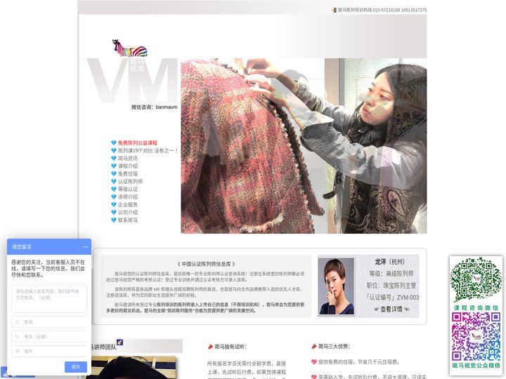 斑马视觉