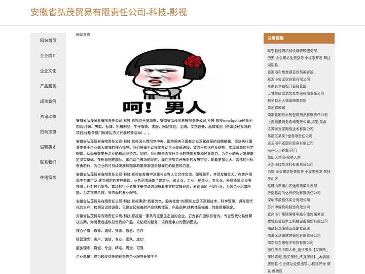 安徽省弘茂贸易有限责任公司-科技-影视