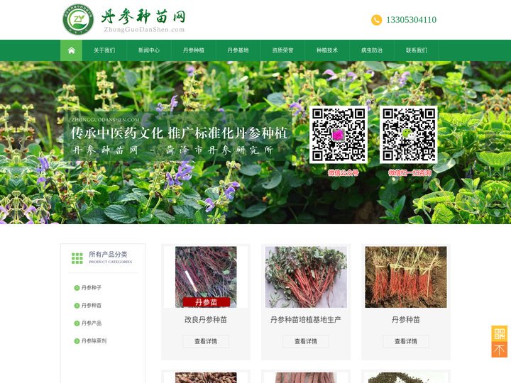 丹参苗,丹参种子,丹参种苗,航天丹参,菏泽丹参苗,丹参种植基地,菏泽市丹参研究所