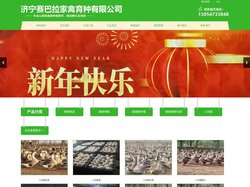 朗德鹅苗,养殖场,价格-济宁赛巴拉家禽育种