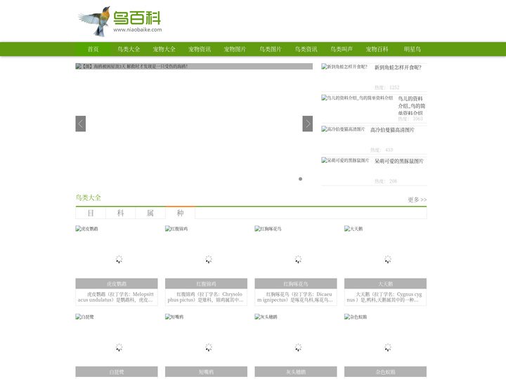 鸟百科-专业的鸟类百科与宠物百科大全网站