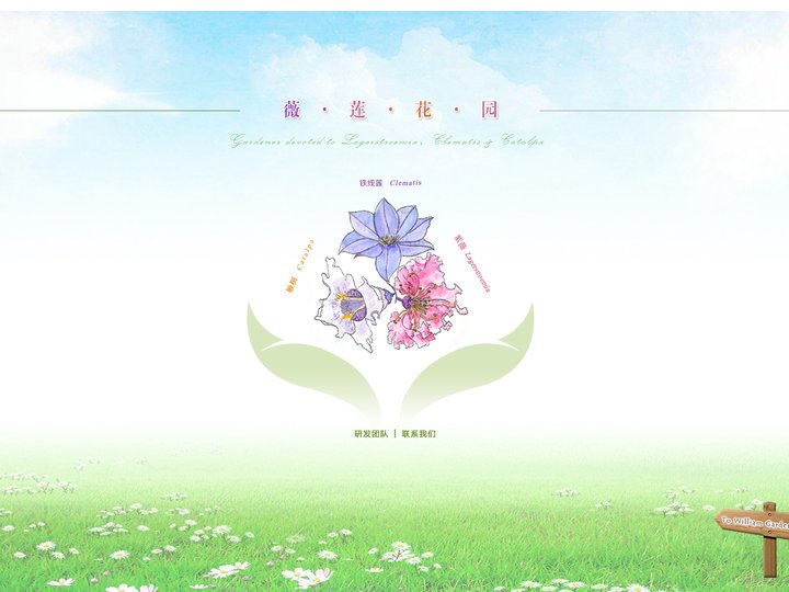 薇莲花园-铁线莲，紫薇，楸树专业信息平台