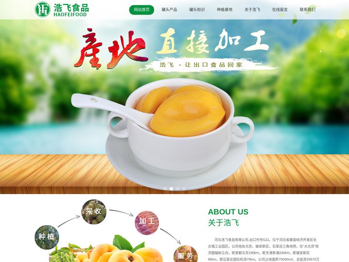 出口草莓水果罐头-白桃罐头公司-芦笋罐头生产厂家-河北黄桃罐头-浩飞食品公司