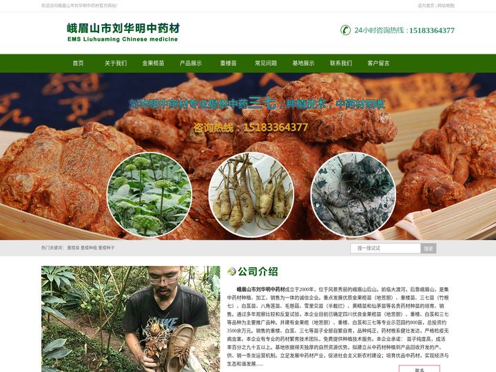 金果榄苗,金果榄种子,地苦胆苗,地苦胆种子—峨眉山市刘华明中药材