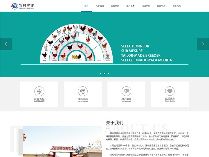 西安罗曼实业官网_法国萨索土鸡_土鸡种鸡养殖_西安罗曼实业有限责任公司