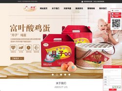 大连鸡蛋_大连乌鸡蛋_大连无公害鸡蛋-大连洪家畜牧有限公司