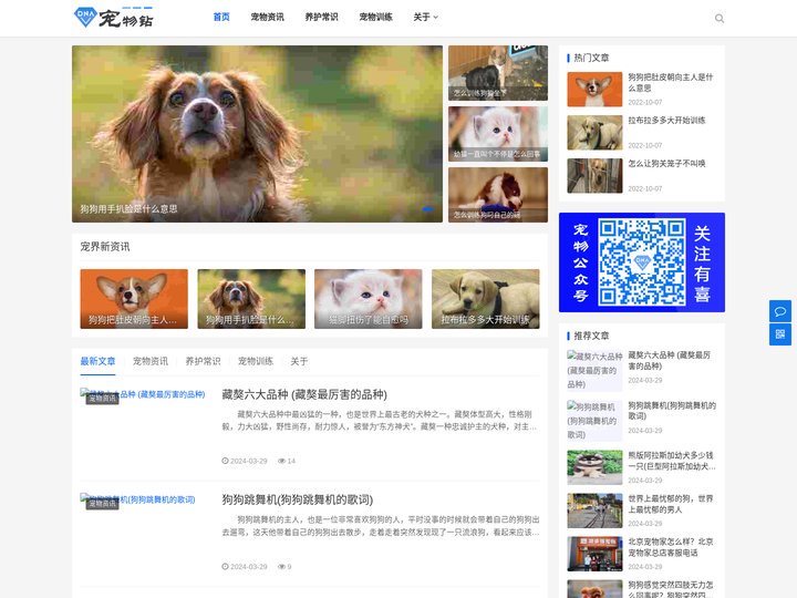 DNA钻石_宠物钻石